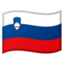 🇸🇮 🇸🇮