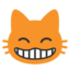 :smile_cat: đ¸